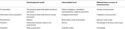 Good Old-Fashioned Artificial Consciousness and the Intermediate Level Fallacy
